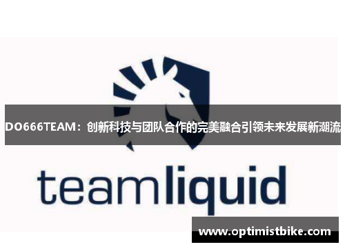DO666TEAM：创新科技与团队合作的完美融合引领未来发展新潮流